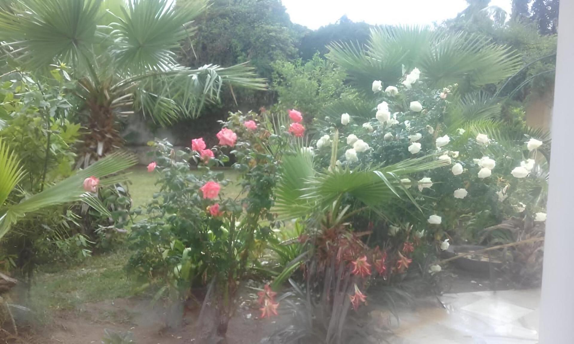 Au Bout Du Jardin Villa Carthage Exterior photo